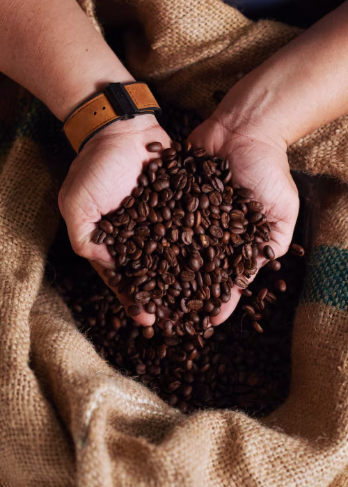 hands-unrecognizable-man-holding-handful-coffee-beans-from-burlap-sack_1098-20603